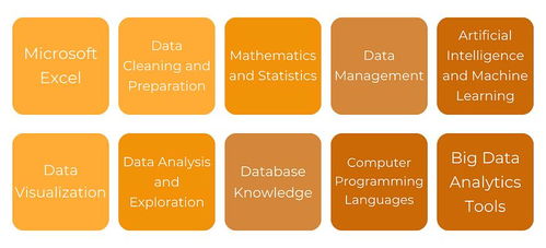 解鎖數(shù)據(jù)價(jià)值 掌握數(shù)據(jù)處理技術(shù)，夯實(shí)有效數(shù)據(jù)分析的基石